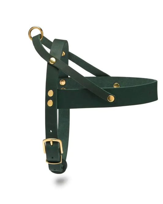 Butter Leather Dog Harness in Forest Green