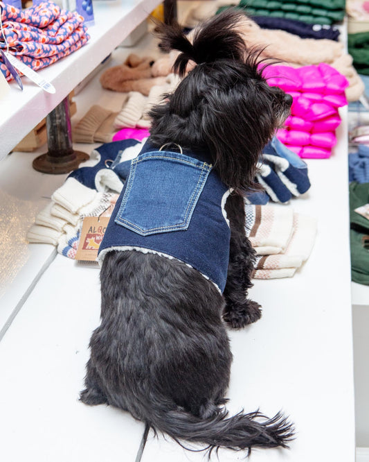 Denim & Shearling Sherpa Dog Harness (Dog & Co. Exclusive)