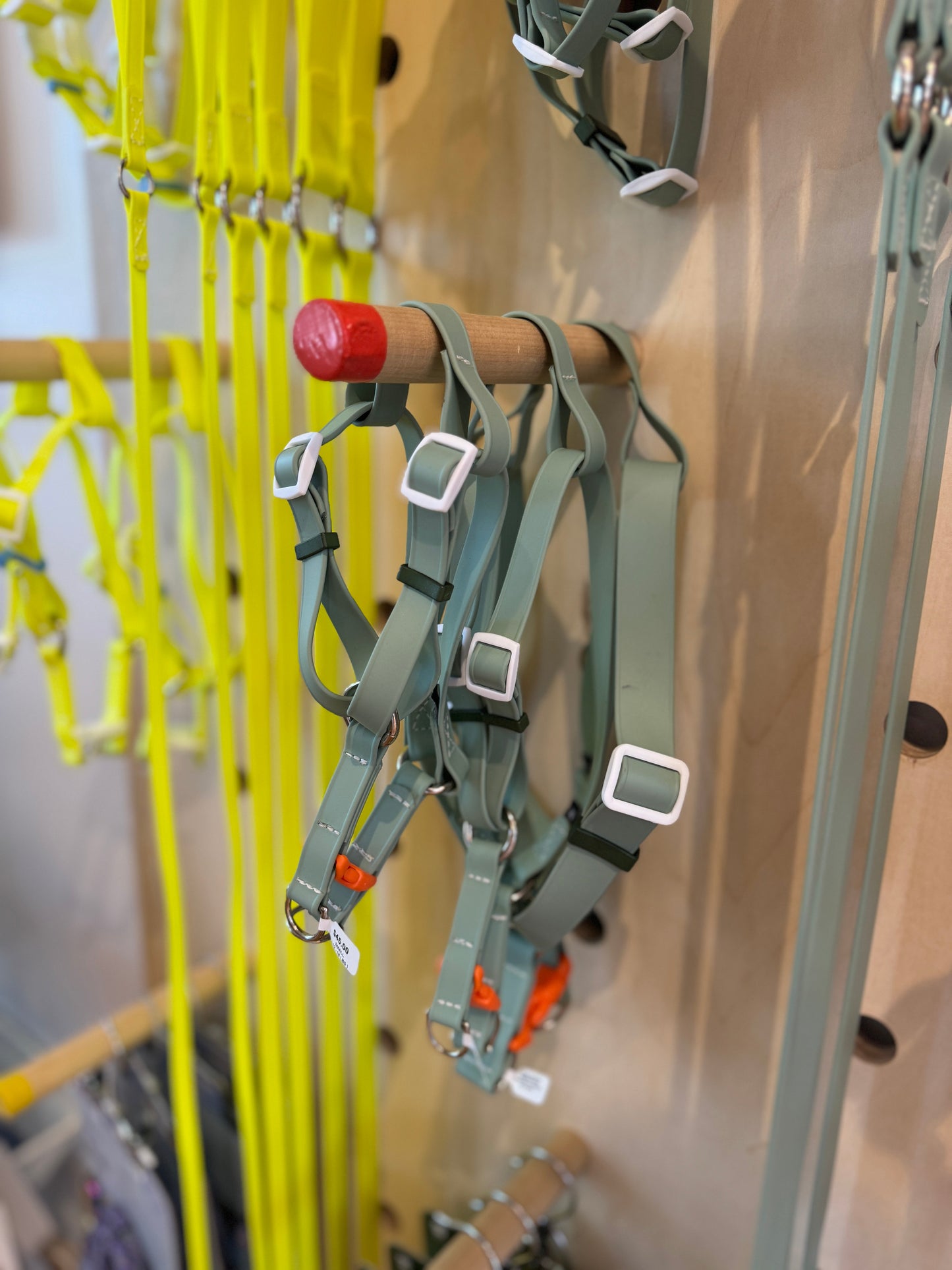 A Walk in the Park Waterproof Dog Harness in Sage Green
