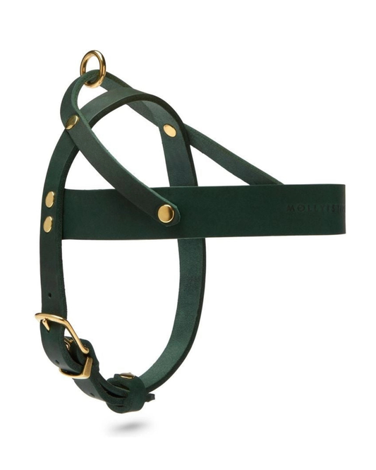 Butter Leather Dog Harness in Forest Green