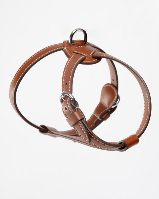 Nuvola Leather Dog Harness in Tobacco Brown