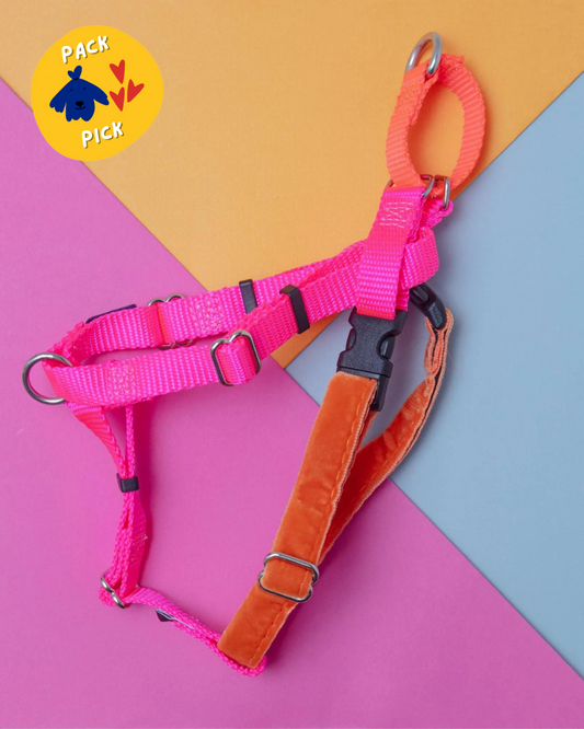 Freedom No-Pull Harness in Neon Pink & Orange