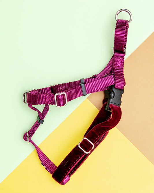 Freedom No-Pull Harness in Burgundy