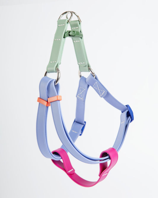 A Walk in the Park Waterproof Dog Harness in Magenta, Periwinkle, & Sage Green