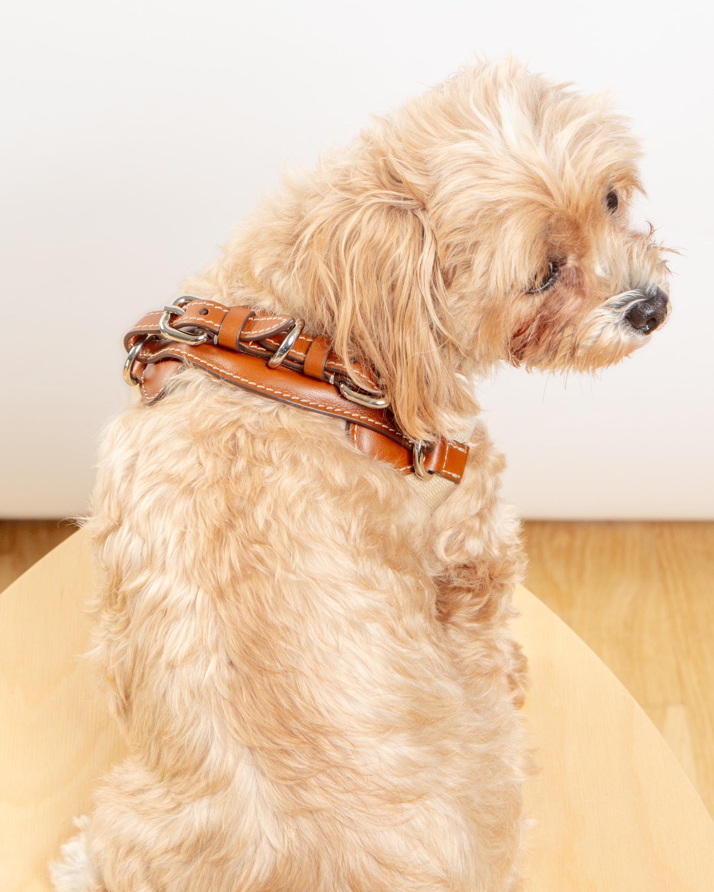 Aria Textile Dog Harness in Natural + Tobacco