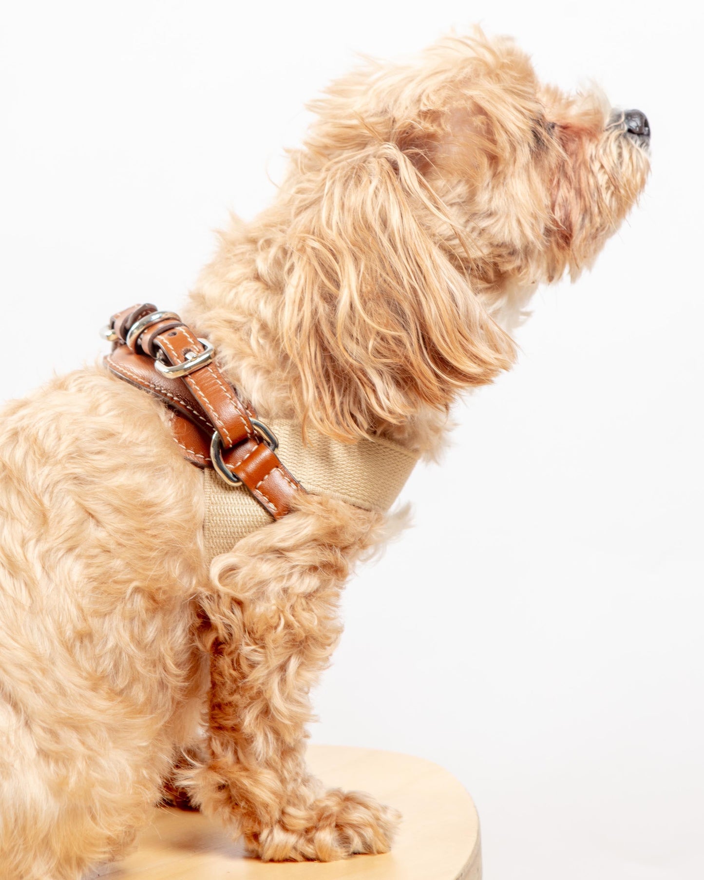 Aria Textile Dog Harness in Natural + Tobacco