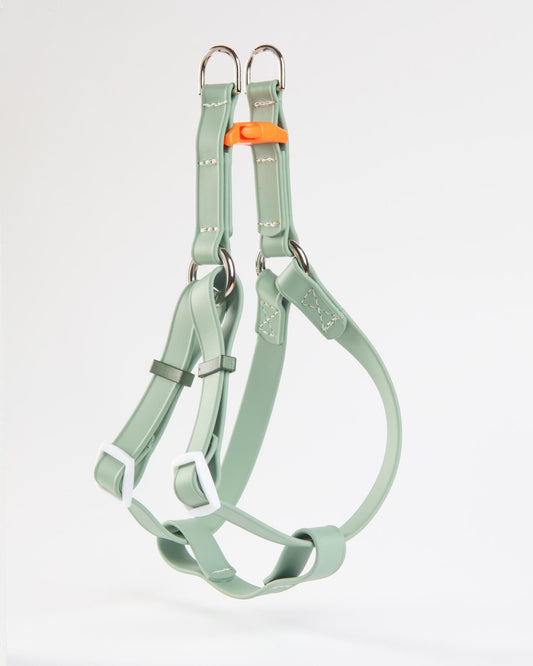 A Walk in the Park Waterproof Dog Harness in Sage Green
