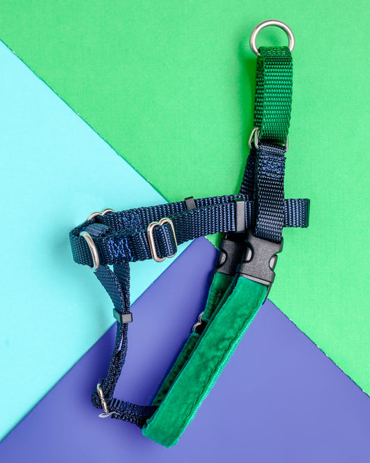 Freedom No-Pull Harness in Navy & Hunter Green