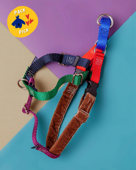 Freedom No-Pull Harness in Spice