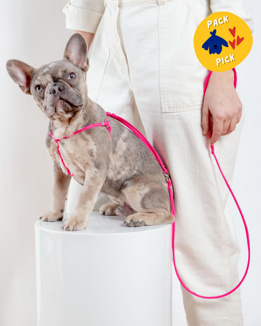 Step-In Adjustable Dog Harness in Neon Pink