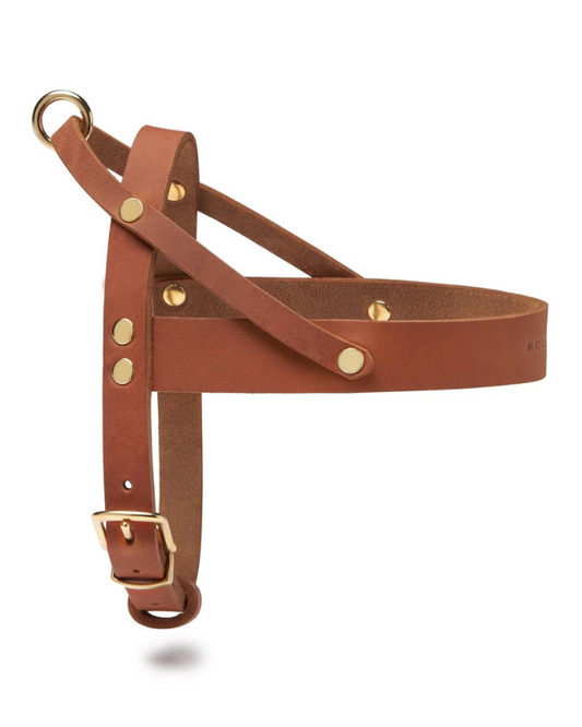 Butter Leather Dog Harness in Sahara Cognac