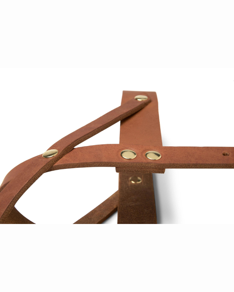 Butter Leather Dog Harness in Sahara Cognac