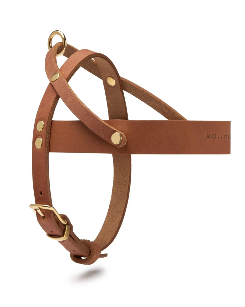 Butter Leather Dog Harness in Sahara Cognac